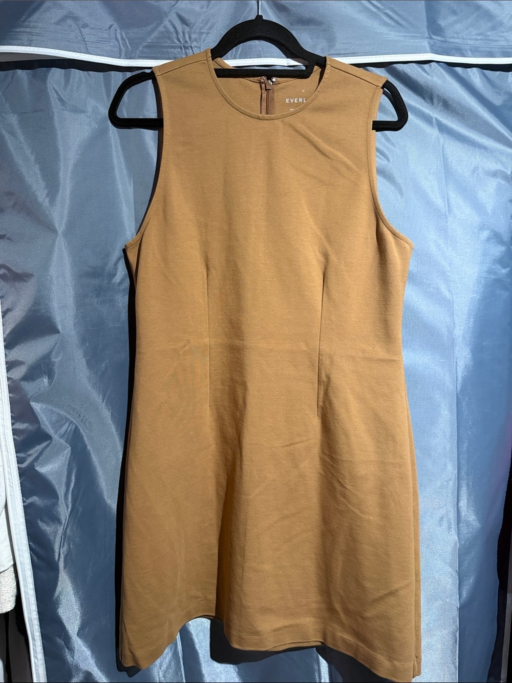 Everlane Caramel Sleeveless Shift Dress